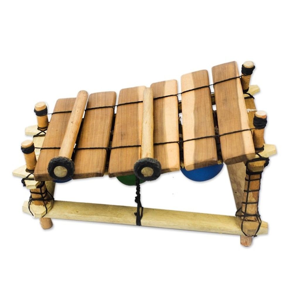 Handmade Ebony Wood Xylophone from Ghana 'Colorful Melody'