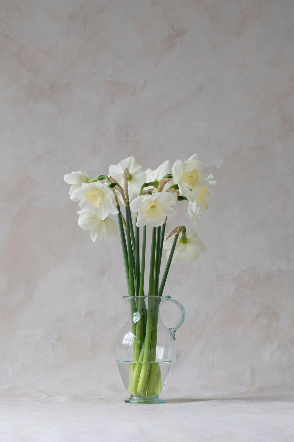 Water Pitcher